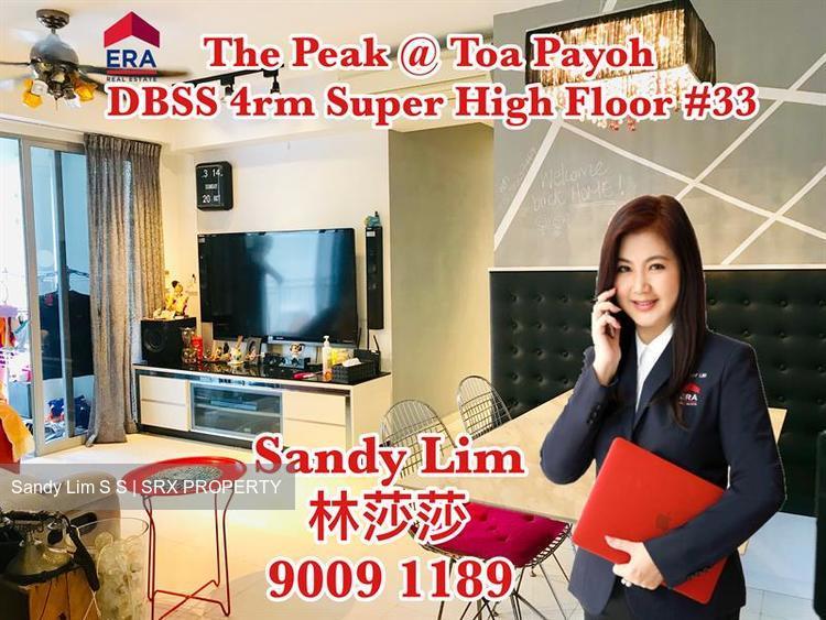 Blk 139B The Peak @ Toa Payoh (Toa Payoh), HDB 4 Rooms #183182352